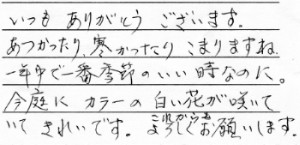 「いつもありがとうございます。<br>
あつかったり寒かったりこまりますね。<br>
一年中で一番季節のいい時なのに。<br>
今庭にカラーの白い花が咲いて<br>
いてきれいです。これからもよろしくお願いします。」